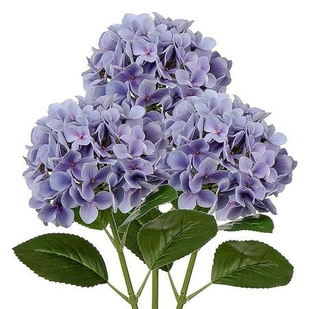 Hydrangea Flower