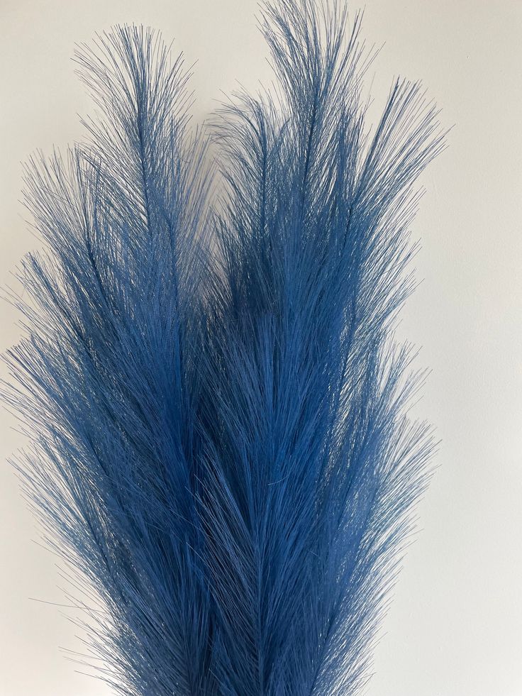 Elegant Blue Pampas Grass