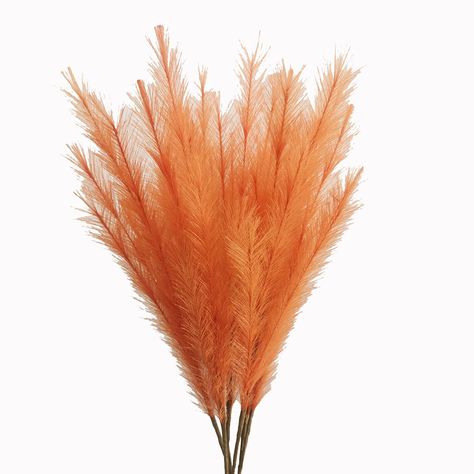 pampas grass