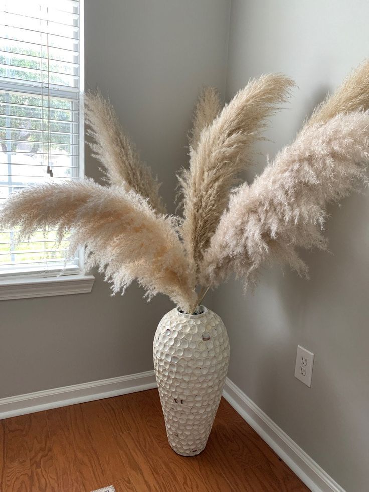 Real pampas grass - Pack of 5